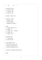 [일본문화의이해] 분라쿠의 이해와 분라쿠의 현 상황과 판소리와의 비교-2