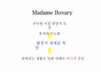 플로베르의 사실주의 분석(마담 보바리를 통해)-6