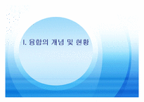 [방송비평연구] 디지털 컨버전스 시대의 정책방향-3
