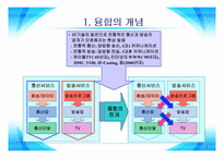 [방송비평연구] 디지털 컨버전스 시대의 정책방향-4