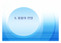 [방송비평연구] 디지털 컨버전스 시대의 정책방향-14