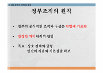 [정치학개론] 헌법과 정부형태-8