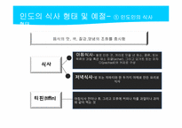 [관광과외식문화] 북인도 지역 음식문화-14