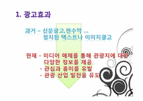 정보기술발전에 따른 관광산업의 영향-10