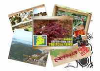 정보기술발전에 따른 관광산업의 영향-13