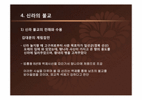 [한국사상과전통] 삼국시대의 불교-12