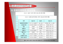 [대중예술] 일본에 진출한 한류드라마-6