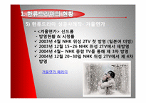 [대중예술] 일본에 진출한 한류드라마-9