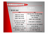 [대중예술] 일본에 진출한 한류드라마-10