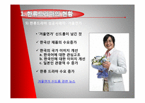 [대중예술] 일본에 진출한 한류드라마-11