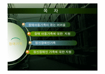 [장애인복지론] 장애가족(장애가족 어려움과 장애가족 대상 사업과 서비스 중심으로)-3