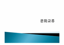 [문화행정] 한류를 중심으로 바라 본 문화교류-1