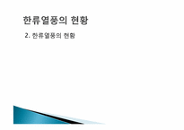[문화행정] 한류를 중심으로 바라 본 문화교류-8