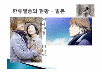 [문화행정] 한류를 중심으로 바라 본 문화교류-14