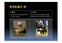 [문학과영화] 영화와 소설로 본 현재의 복제와 윤리적 문제-5