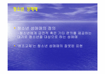 [법사회학] 성매매와 청소년 성매매-14