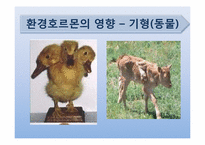 [현대과학의이해] 환경호르몬의 이해-16