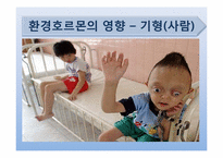 [현대과학의이해] 환경호르몬의 이해-17