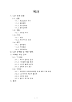 [마케팅]LG텔레콤의 마케팅 개선방향-2
