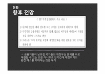 [국제경영]피그스(PIIGS)재정위기-9