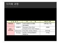 이랜드 국제경영 전략-15