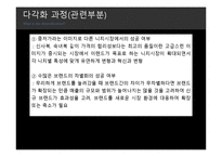 이랜드 국제경영 전략-16