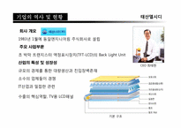 [재무관리]태산엘시디(Taesan LCD)기업 재무분석 보고서-3