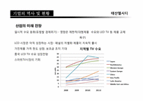 [재무관리]태산엘시디(Taesan LCD)기업 재무분석 보고서-4