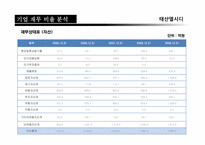 [재무관리]태산엘시디(Taesan LCD)기업 재무분석 보고서-5