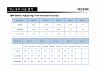 [재무관리]태산엘시디(Taesan LCD)기업 재무분석 보고서-13