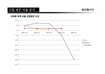 [재무관리]태산엘시디(Taesan LCD)기업 재무분석 보고서-17