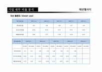 [재무관리]태산엘시디(Taesan LCD)기업 재무분석 보고서-18