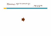 소비자 행동(다양성)-2