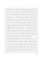 [현대사회윤리]인터넷 윤리에 대한 고찰-11