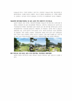 디자인 서울 레포트-9