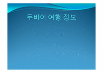[커뮤니케이션]두바이 여행 정보-1