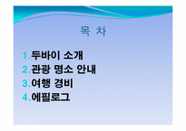 [커뮤니케이션]두바이 여행 정보-2