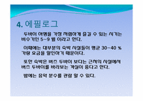 [커뮤니케이션]두바이 여행 정보-15