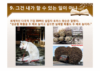 [자기계발과 리더십]성공을 가로막는 13가지 거짓말-19