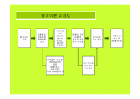 [가족치료]가족치료의 발달과 현황 및 보웬의 다세대 가족치료-4