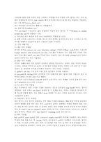헤어컷의 종류 레포트-4