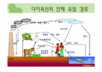 [환경독성학]다이옥신(Dioxin)-7