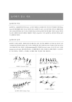[체육교육]초등육상 활동 지도법-높이뛰기 지도안-4