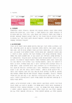 닌텐도의 마케팅성공사례 -국외 제조업-8
