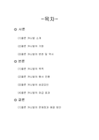 [관광이벤트론] 쾰른 카니발-1