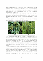 공자의 사상과 경영학적 이해-11