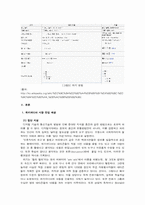 [인터넷비즈니스] 위키피디아 시장 진입 및 전략-8