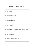 [경영정보] ERP 시스템-2