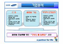 [국제경영] 삼성생명 해외진출사례-11