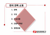 [국제경영] 한국전력공사 해외진출 사례분석-3